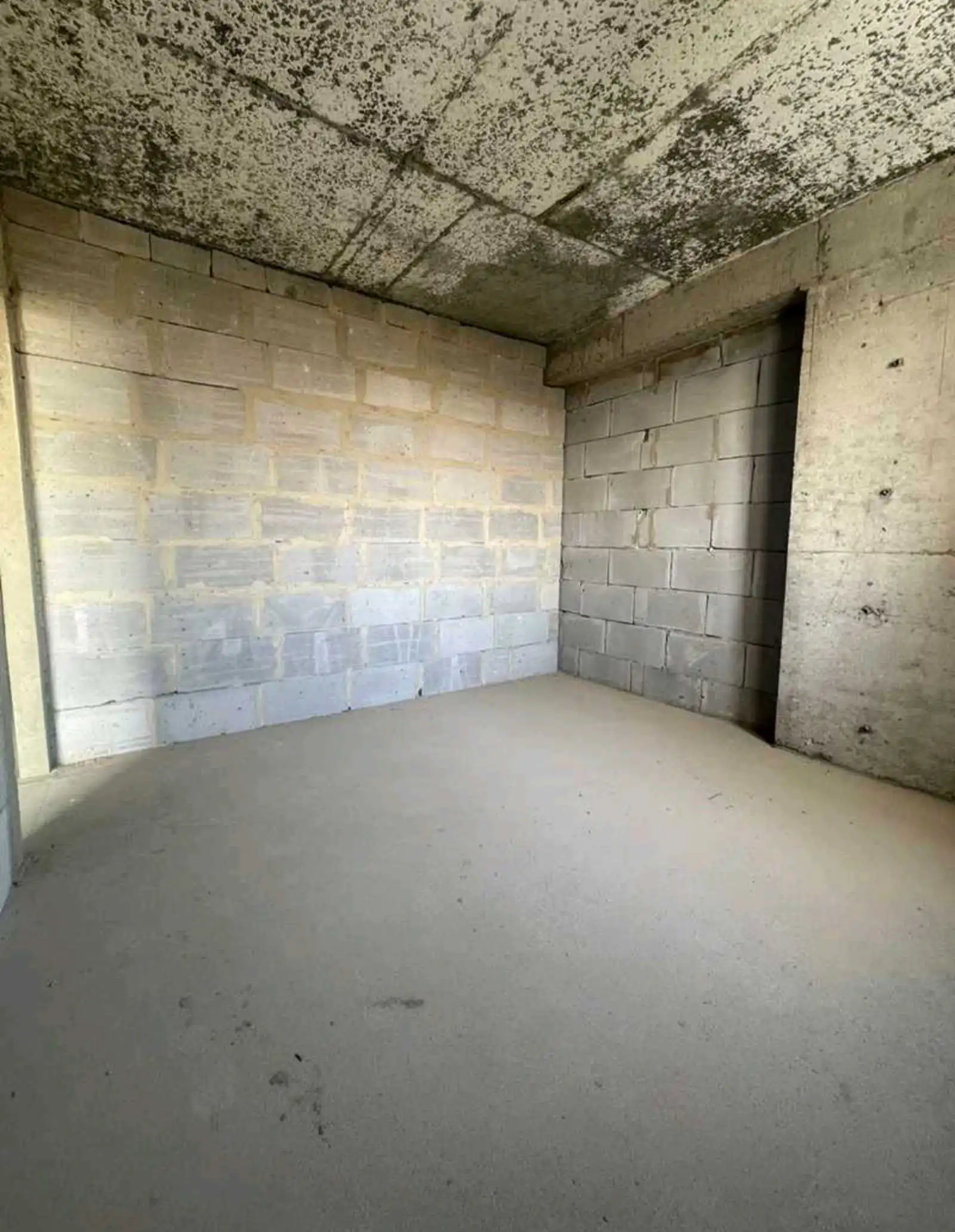 3-к квартира, 12 этаж, 114 м², Сино