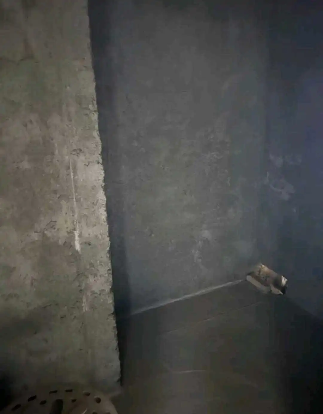 1-к квартира, 12 этаж, 63 м², Шохмансур