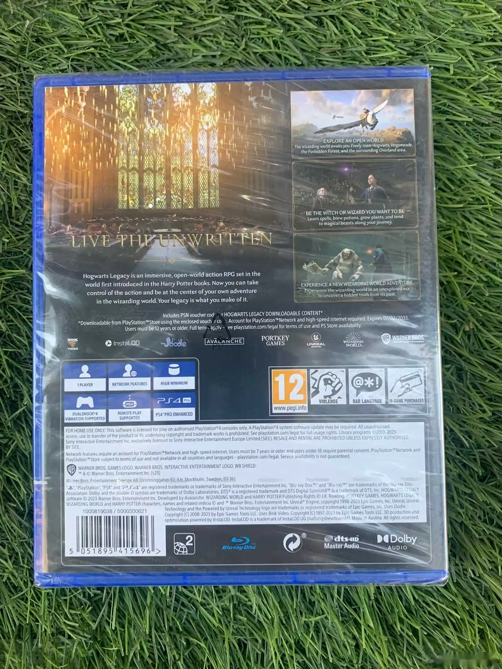 Диск Hogwarts Legacy для PS4 — фото 2