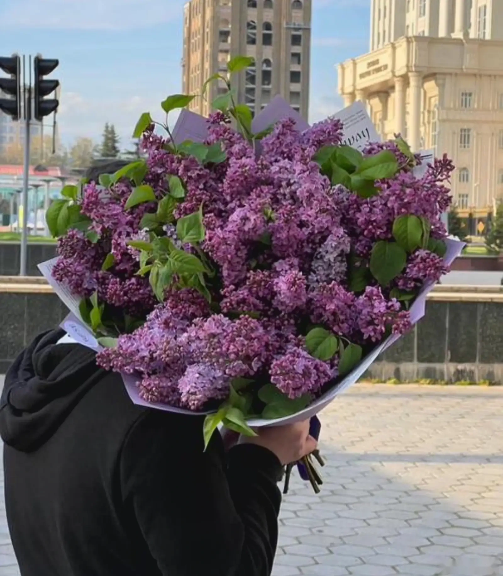 Цветы Лаванда