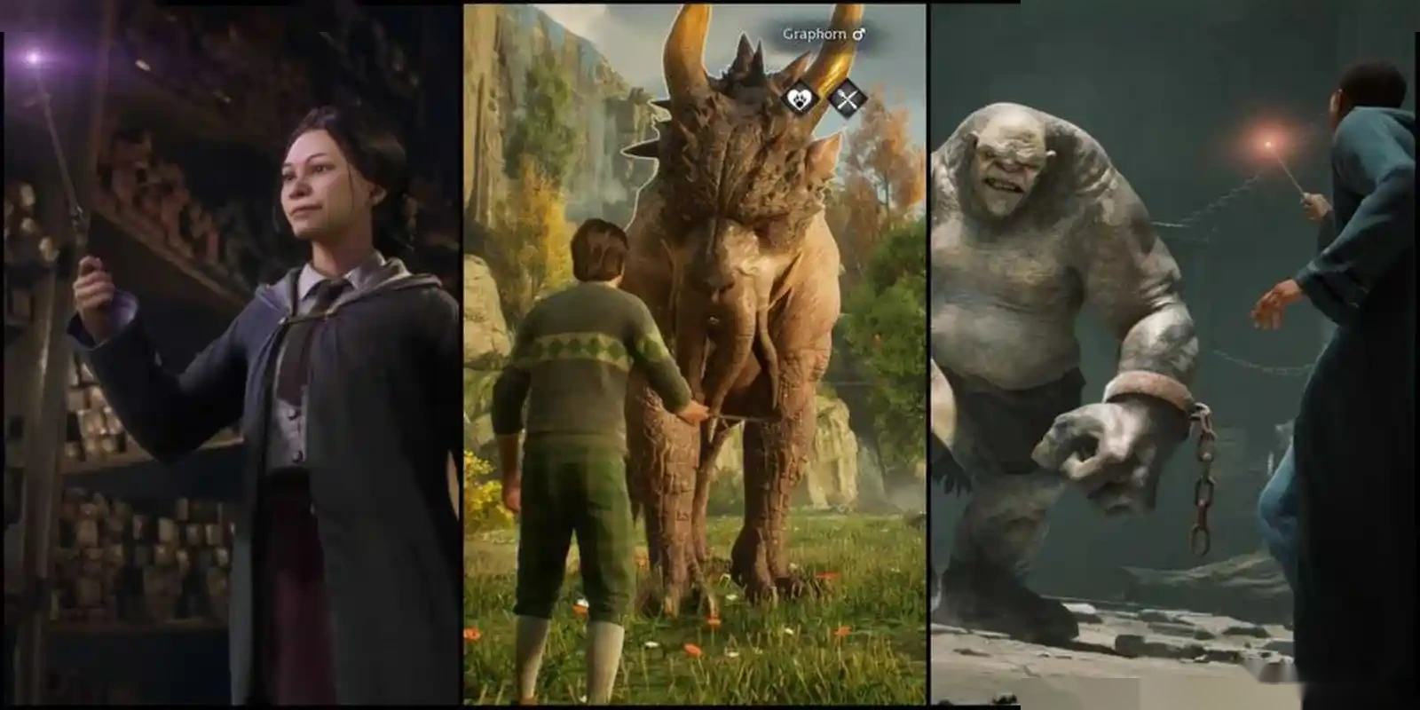 Игра Hogwarts Legacy deluxe edition ps4 — фото 2