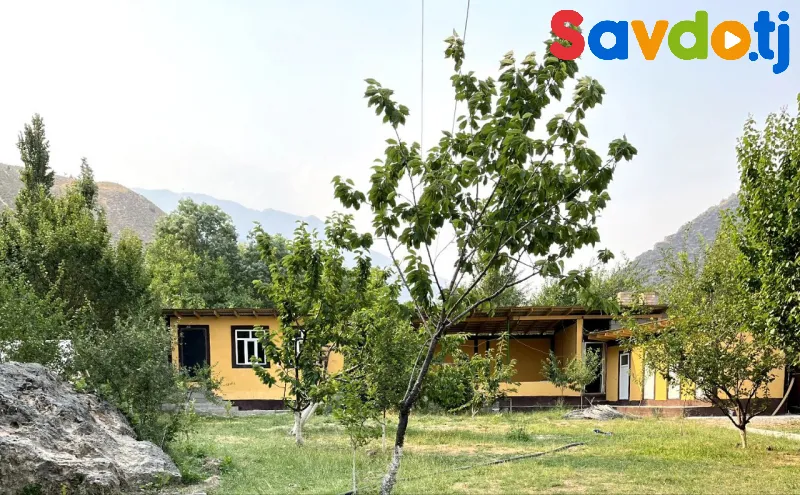 сдается дача в ширкентском ущелье