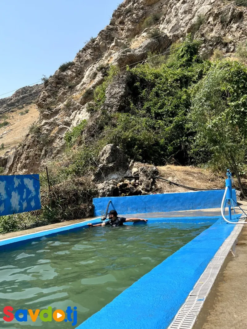 сдается дача в ширкентском ущелье