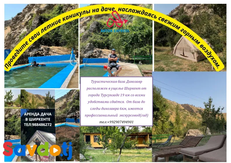 сдается дача в ширкентском ущелье