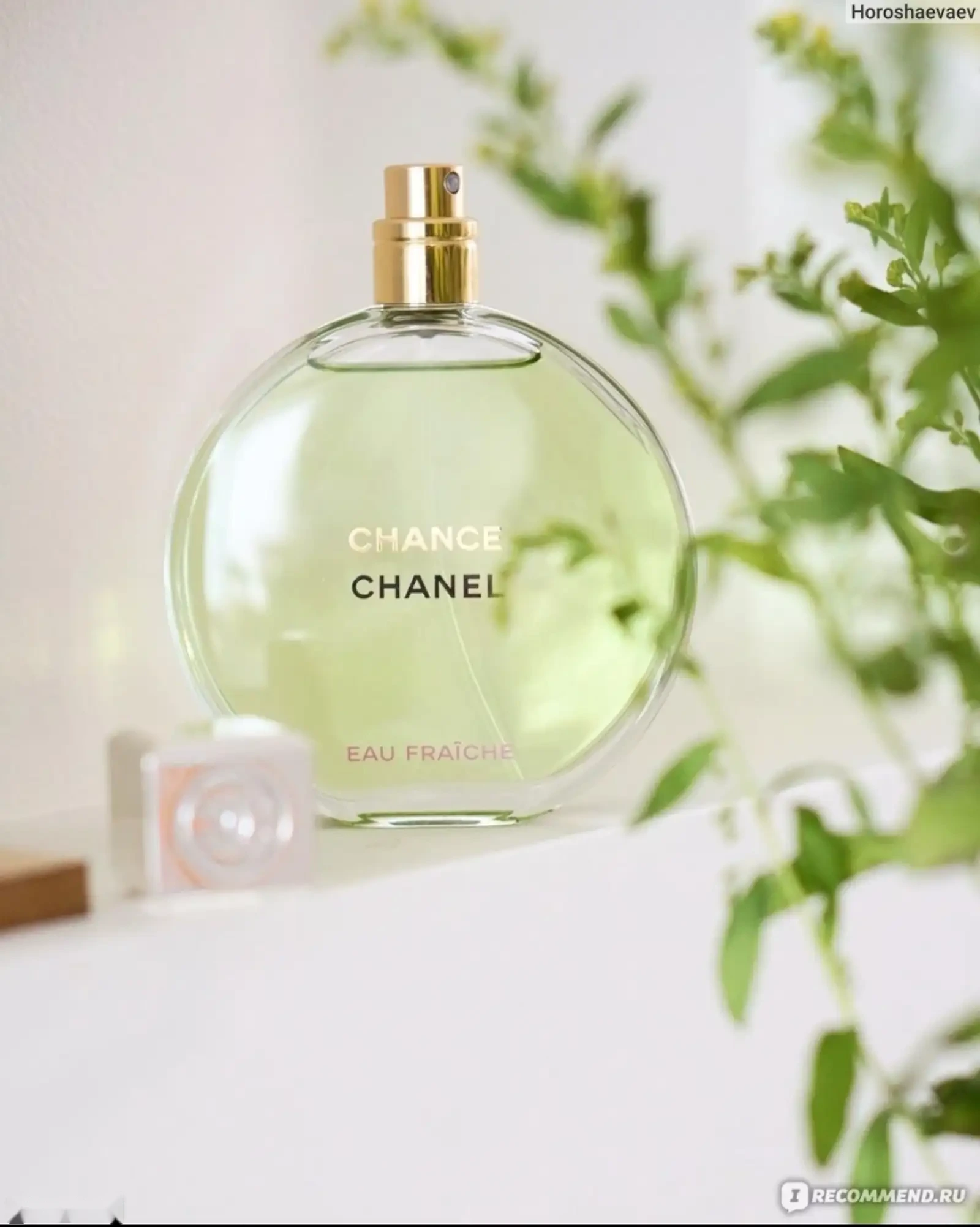 Парфюм Chanel Chance EAU Fraiche Eau de Parfum 100 ml — фото 2