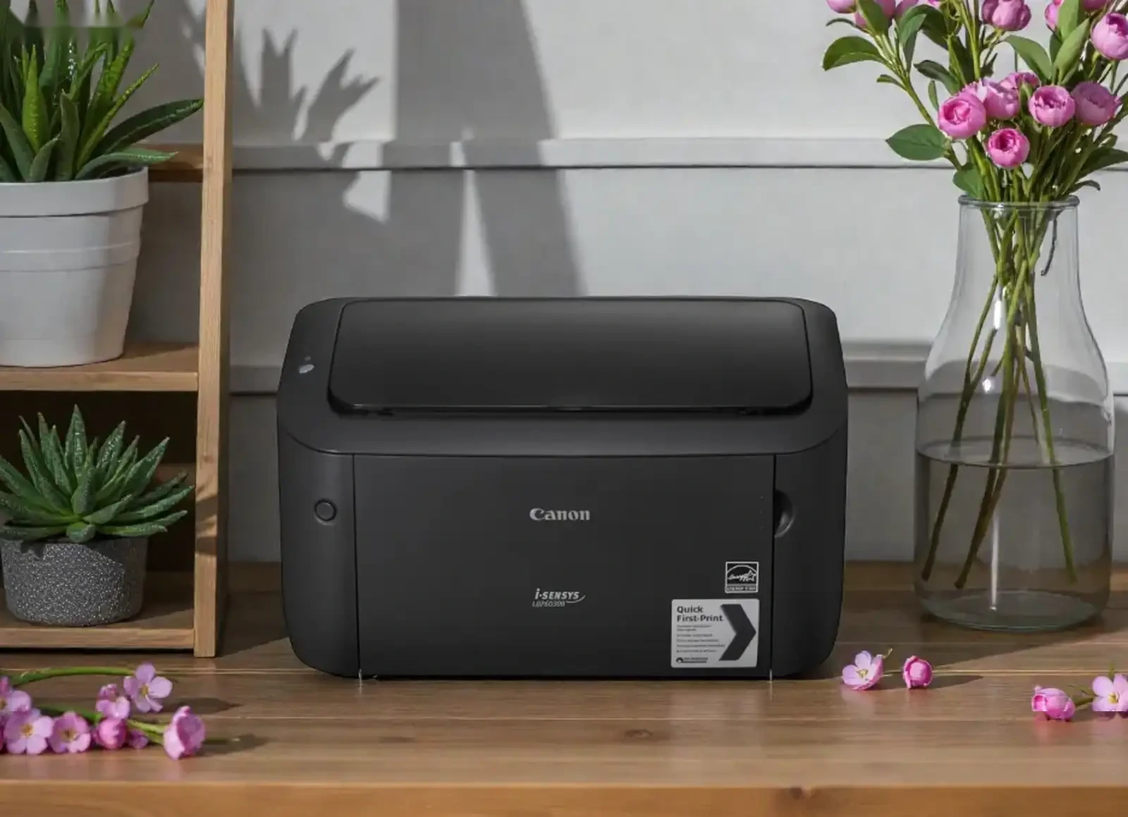 Принтер Canon i-Sensys LBP6030