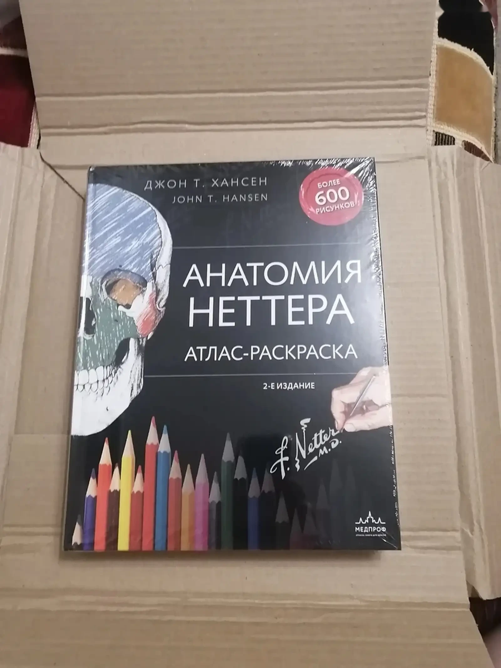 Атлас Анатомия Неттера — фото 2