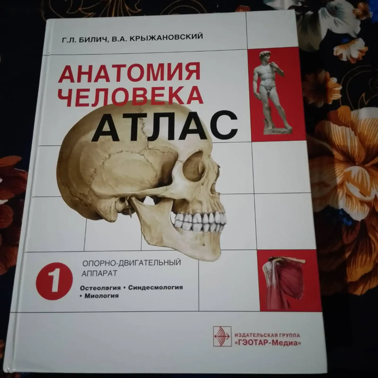 Атлас Анатомия Человека
