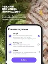 Яндекс Станция Стрит Алиса — фото 9