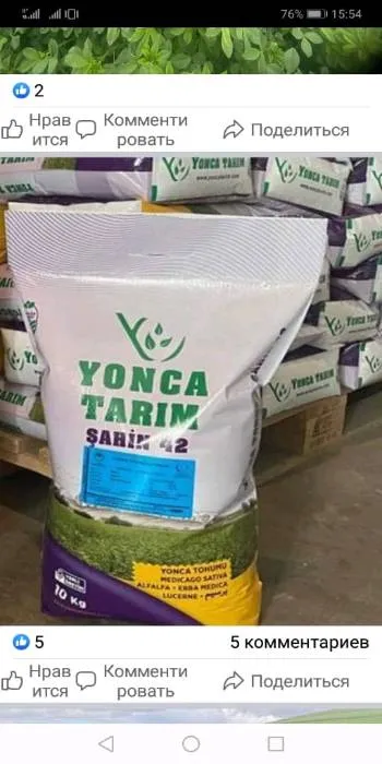 Тухми Рушка