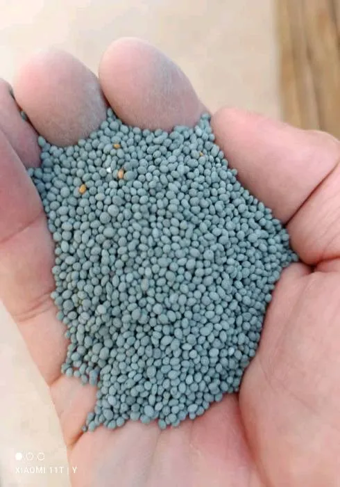 Тухми Рушка