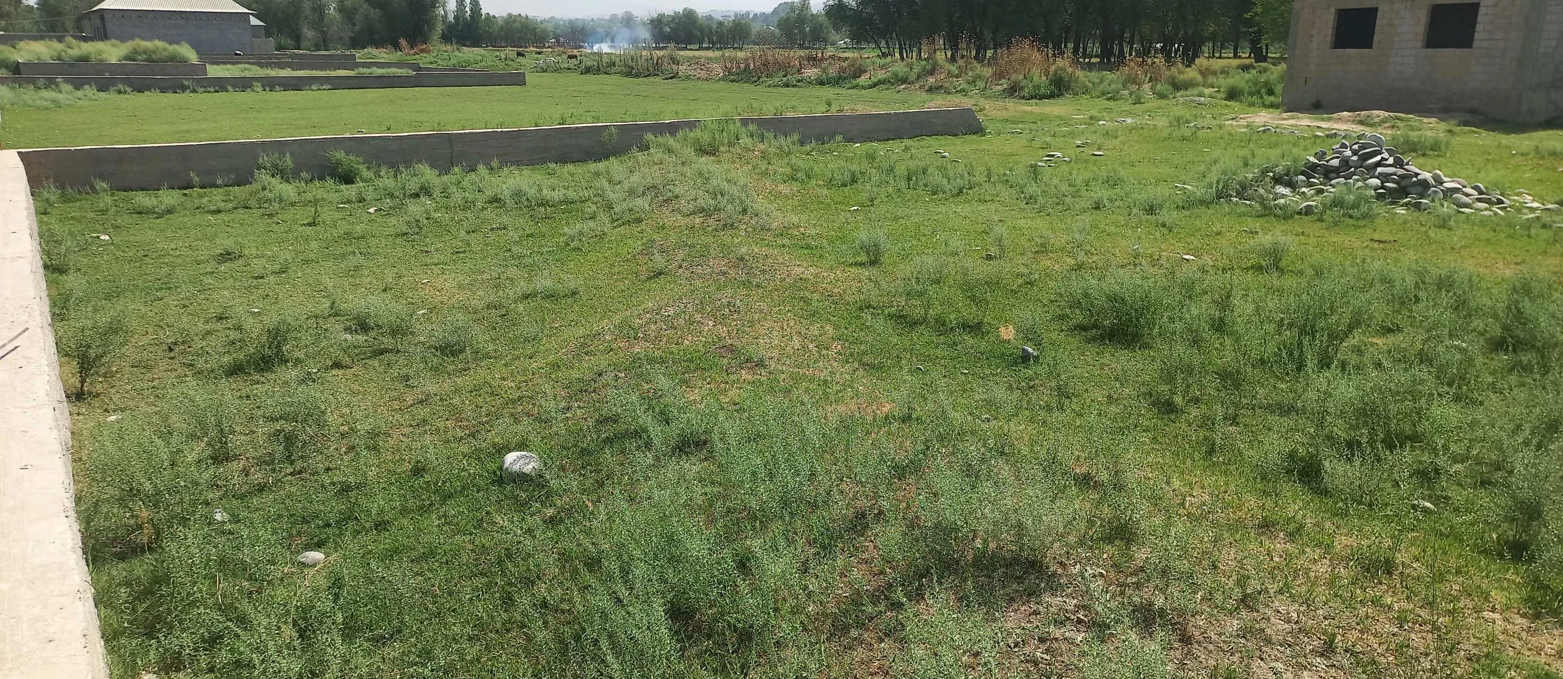 Постройка с земельным участком