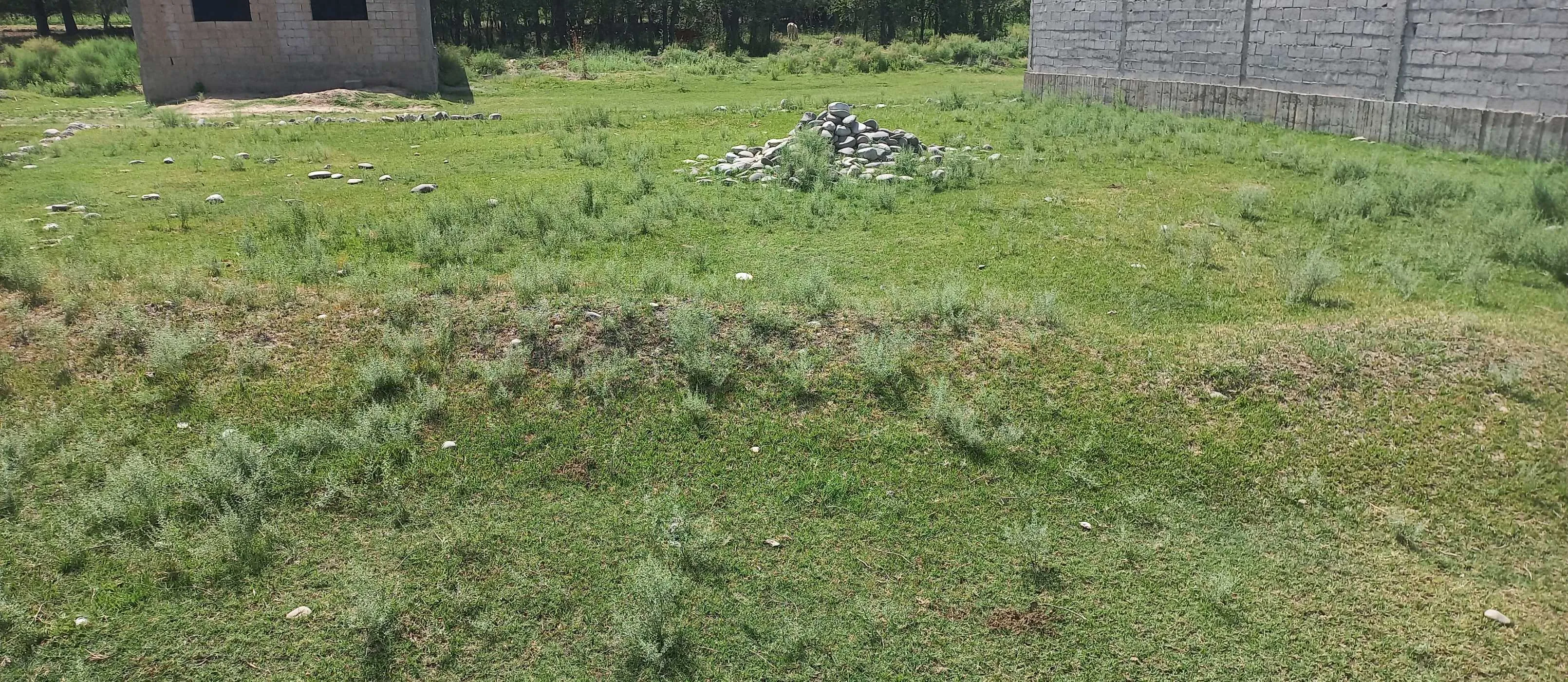 Постройка с земельным участком