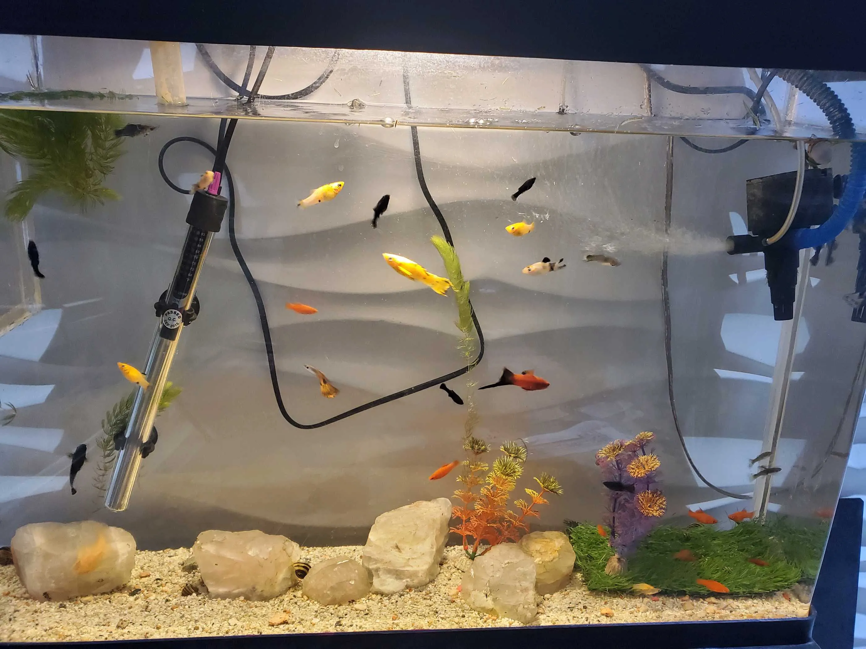 аквариум 60л