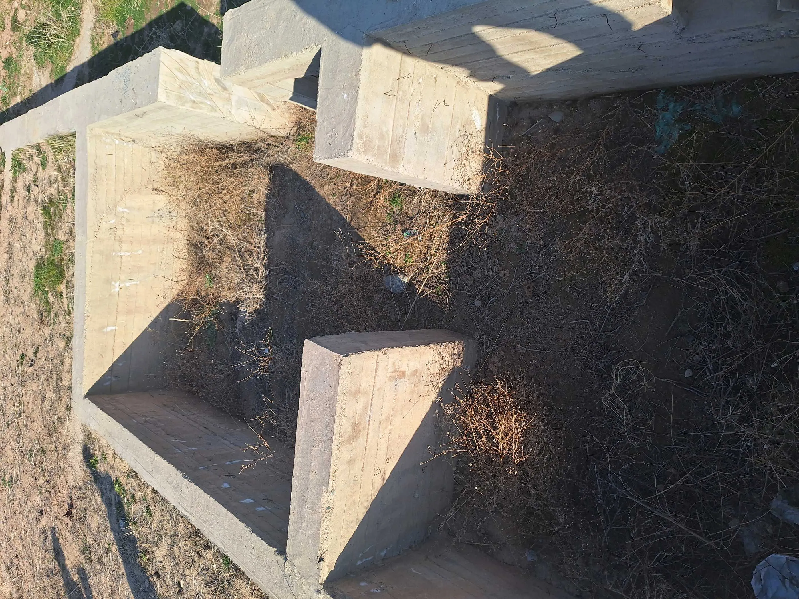 Постройка с земельным участком