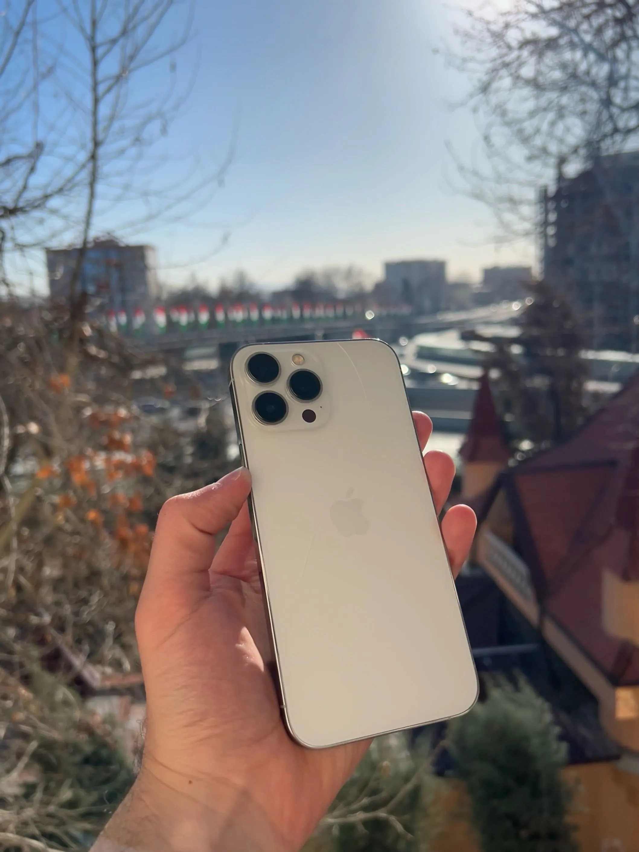 Apple iphone 13 pro max 128 gb