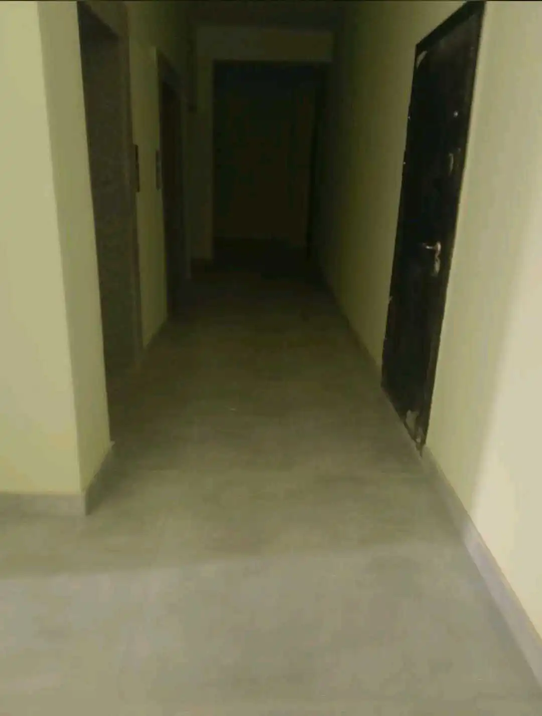 2-к квартира, 11 этаж, 56 м², Сино