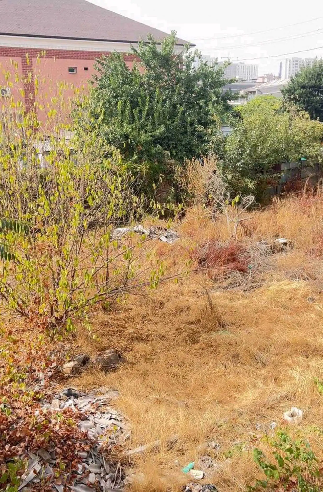 1 этажный, 3-комн. дом, 120 м², 6 соток, Фирдавси