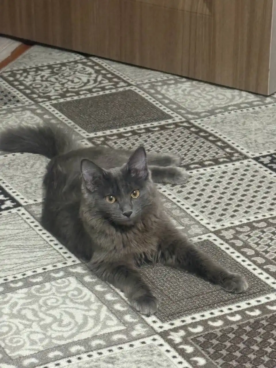 Порода нибилунг