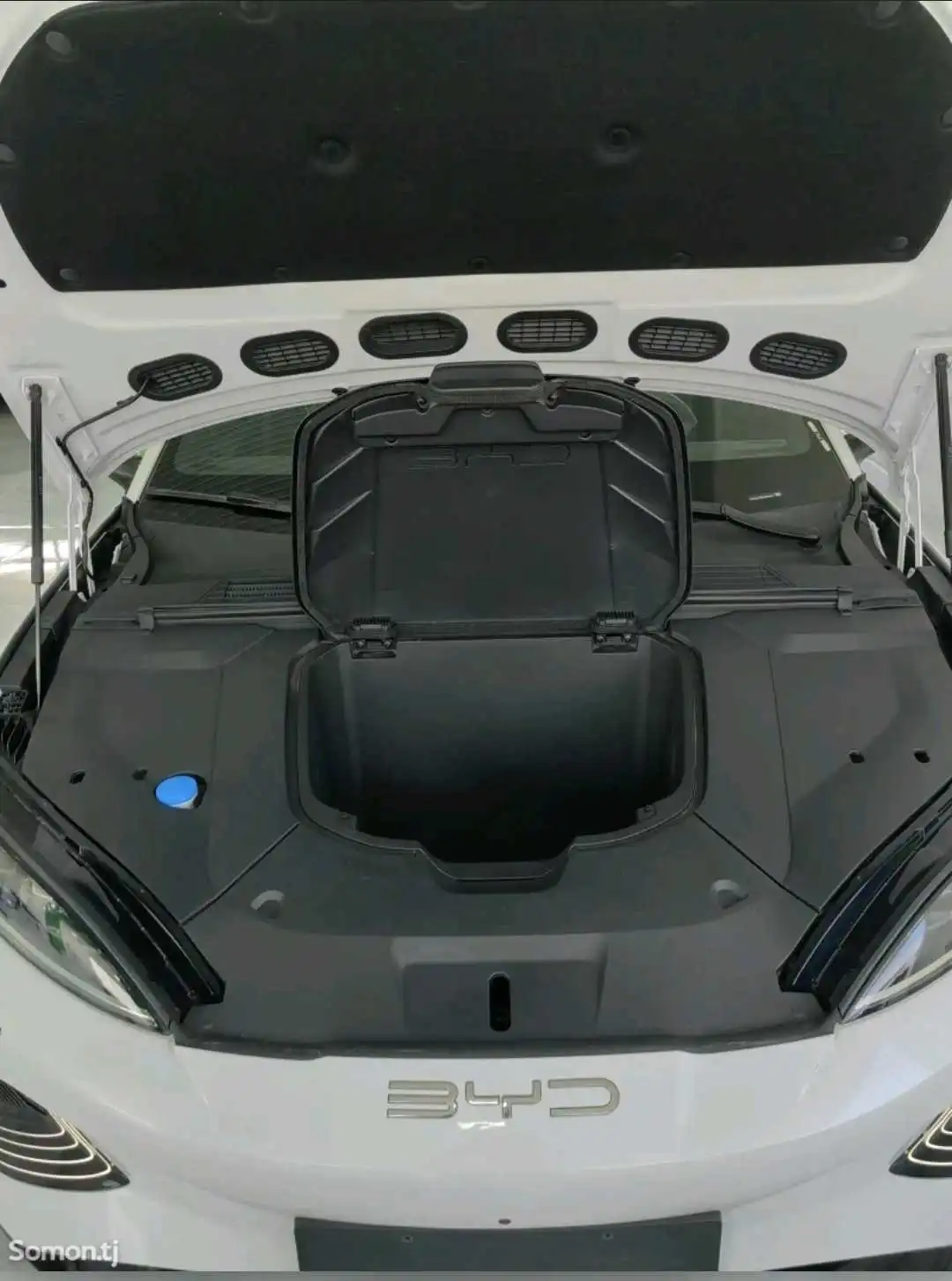 BYD BYD SEA LION 2023