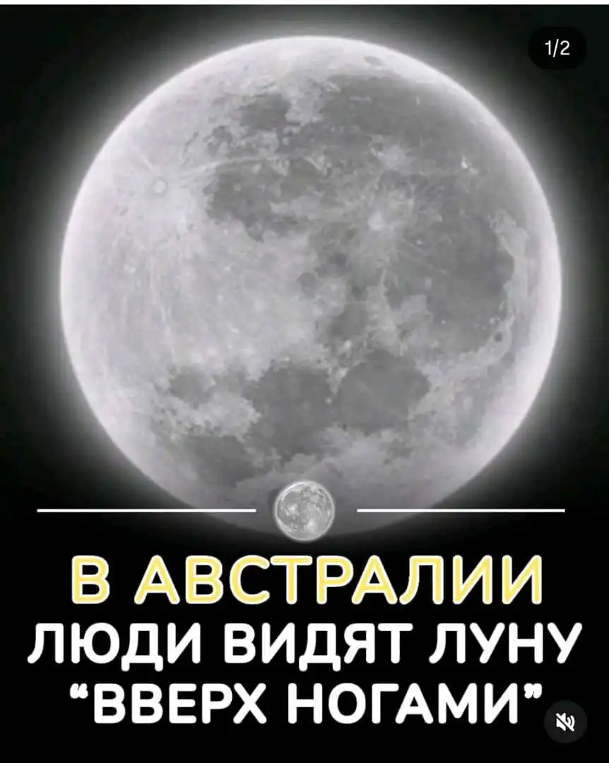 Логотип месозем бо нархи хеле дастрас