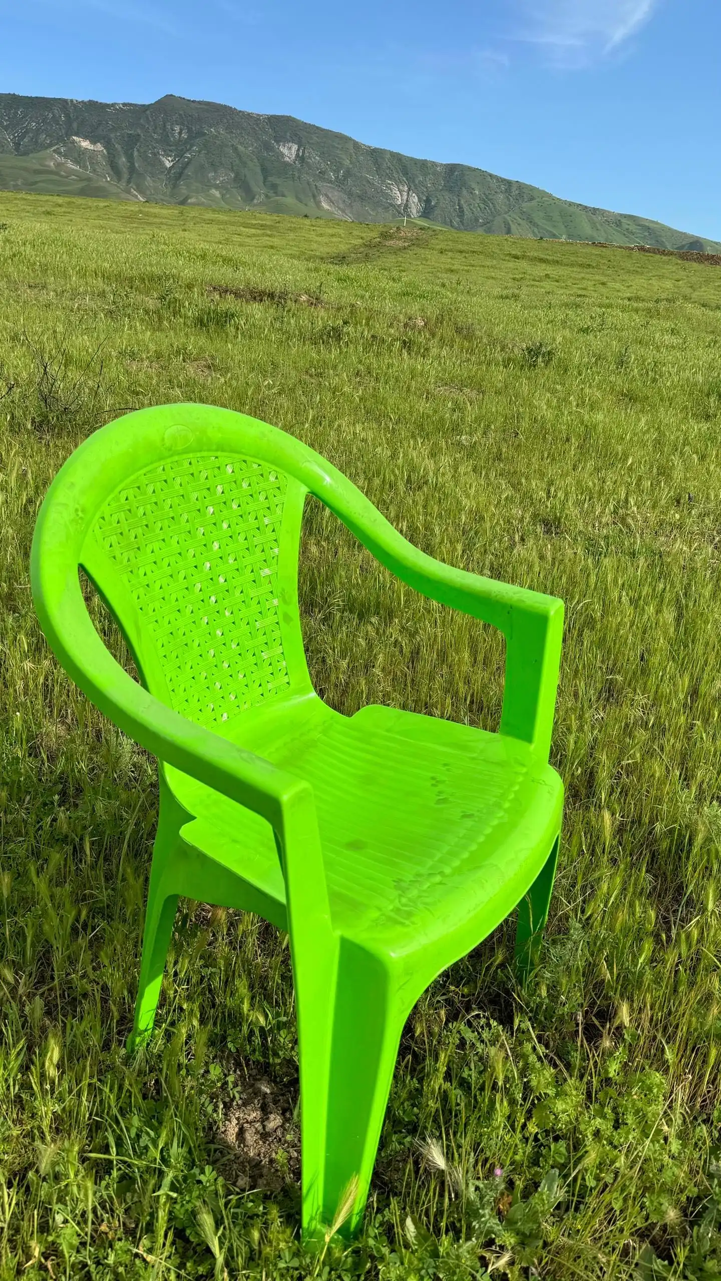 столы и стулья