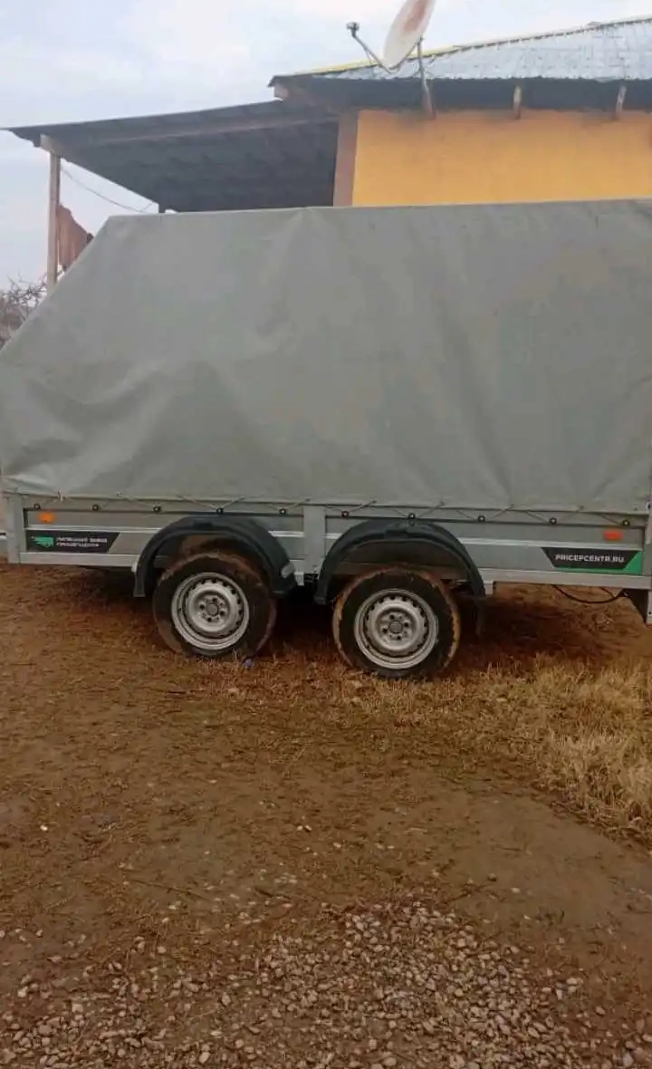 питсеп дар шархи Душанбе кароч дорад 2025