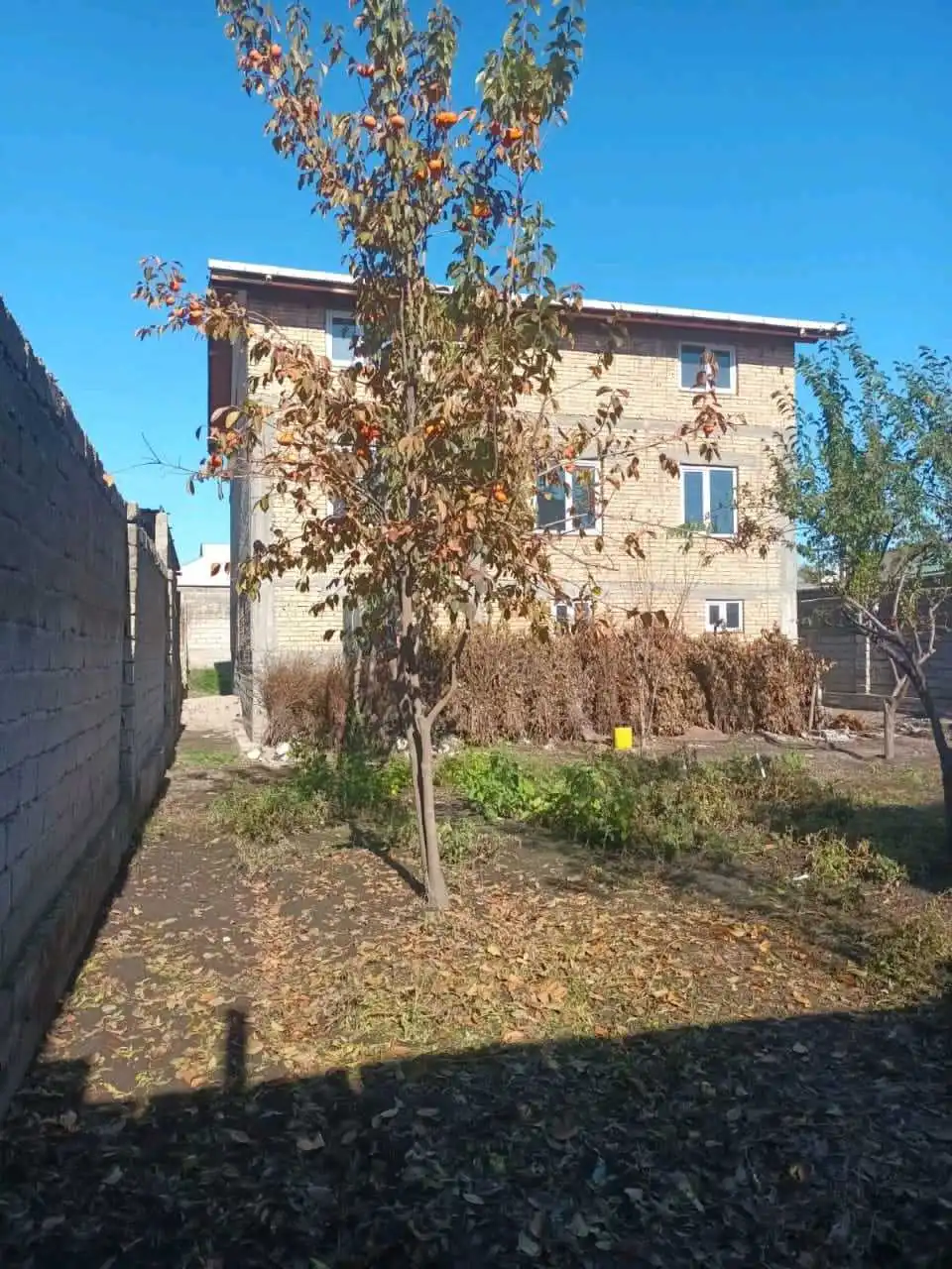 3 этажный, 10-комн. дом, 300350 м², 6 соток, н, фирдавси