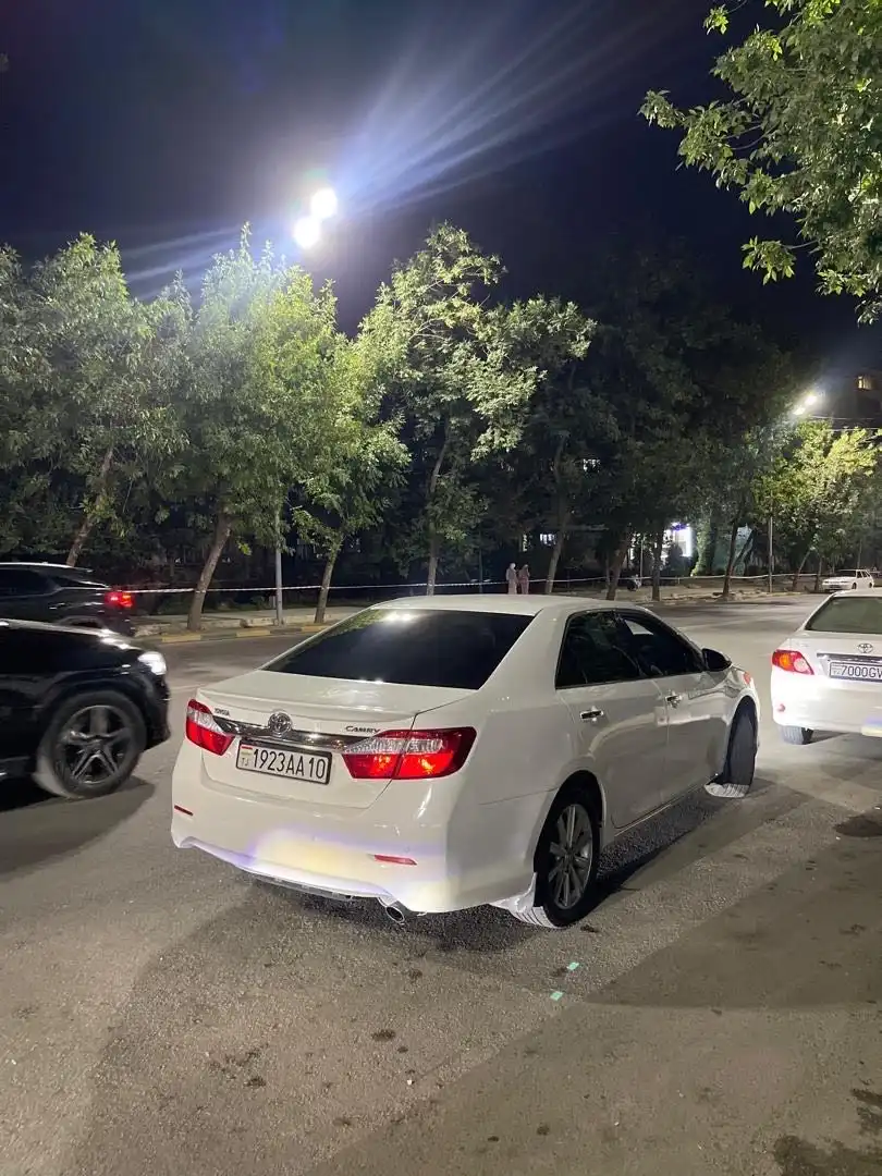 Toyota Camry 2013