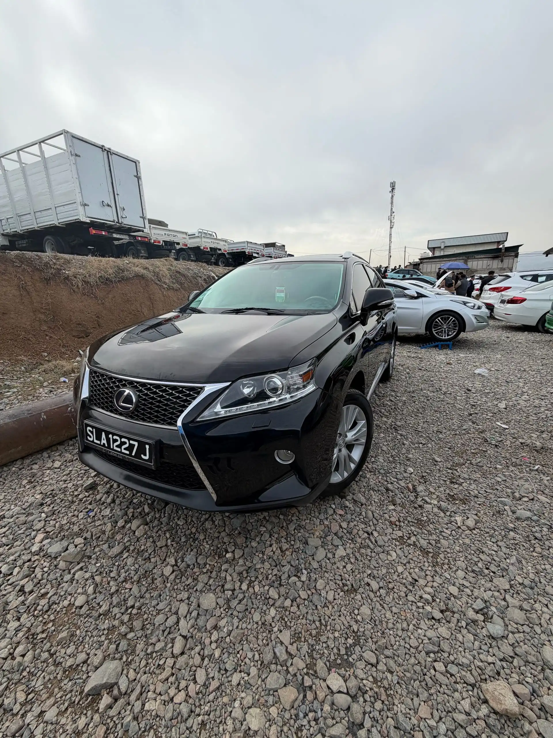 Lexus Rx series 2010