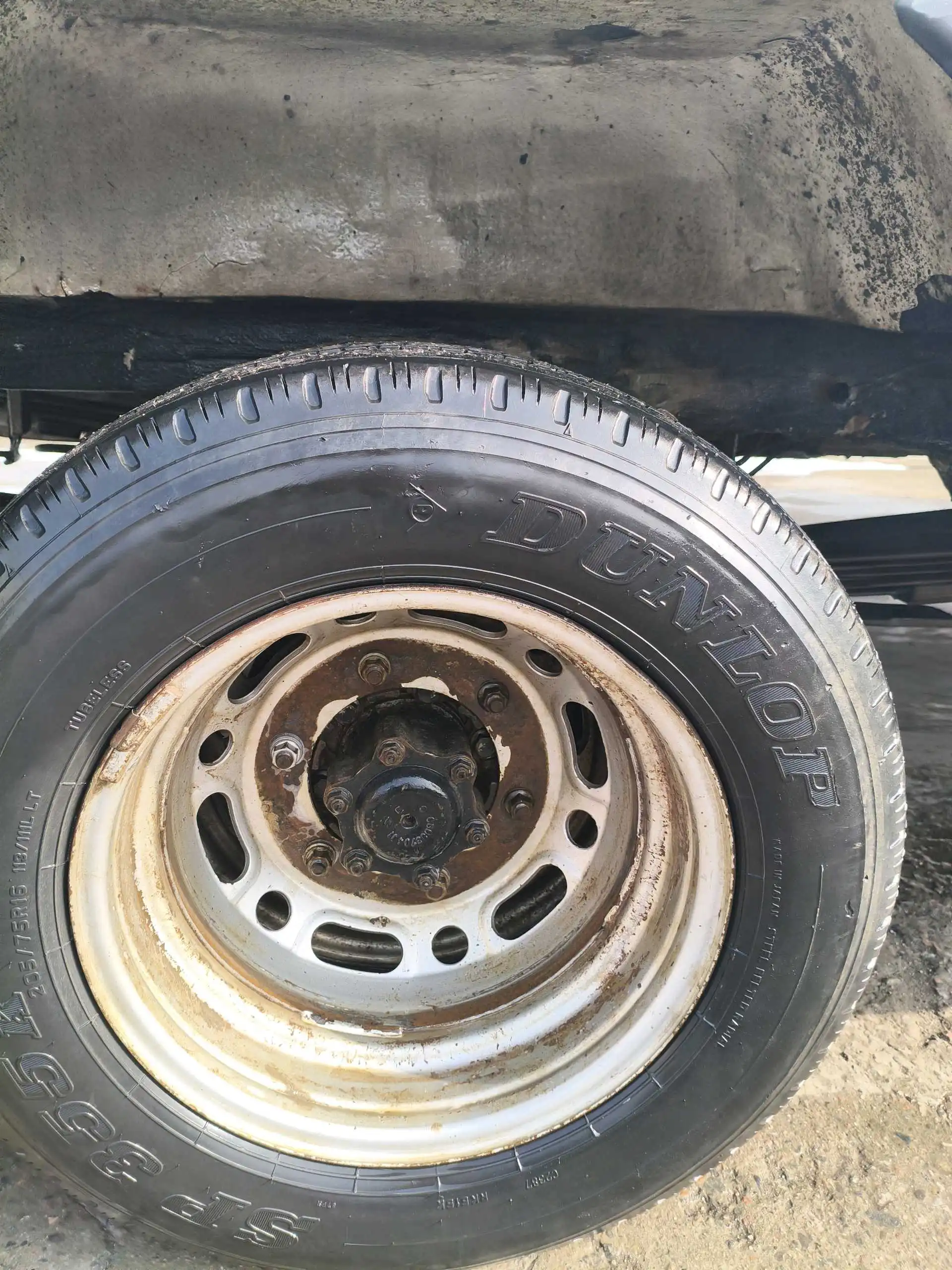 Мерседес спринтер дельфин