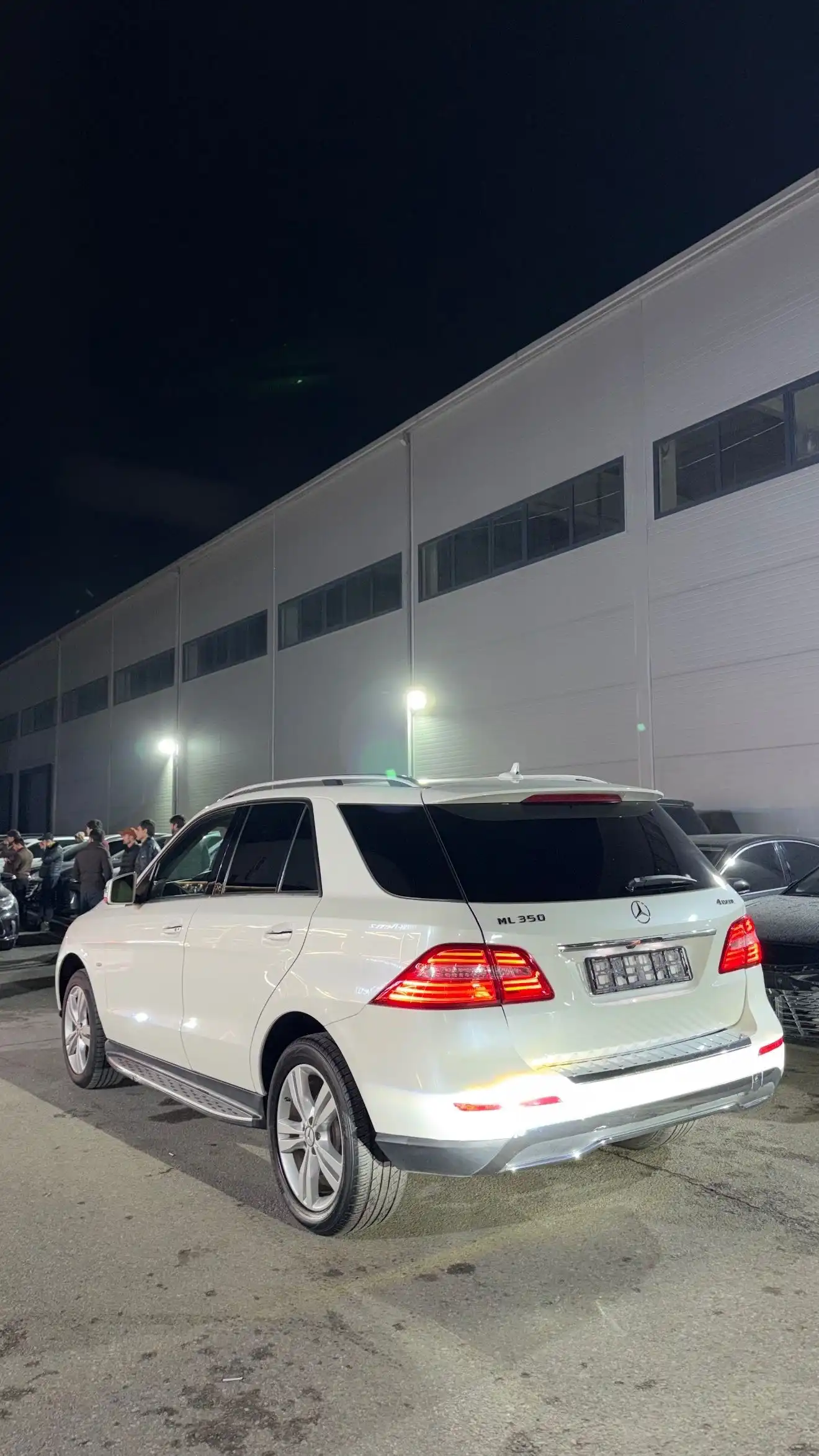 Mercedes-benz Ml class 2012