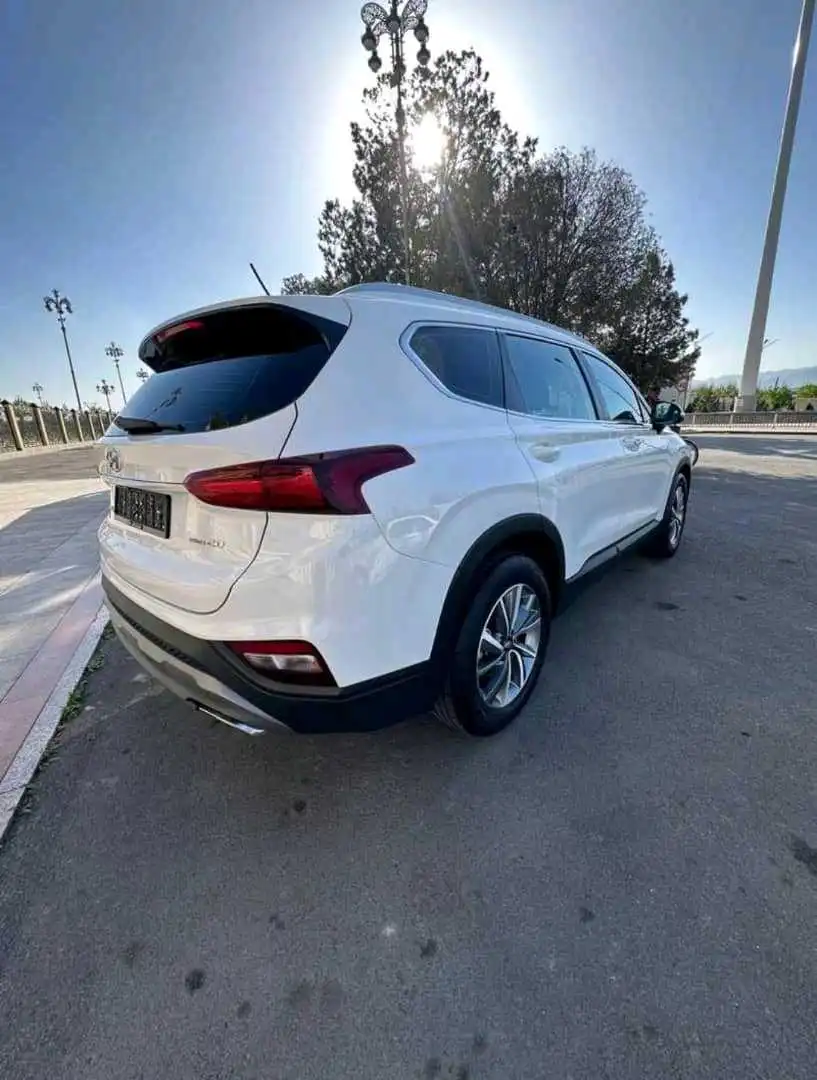 Hyundai Santa fe 2018 — фото 17