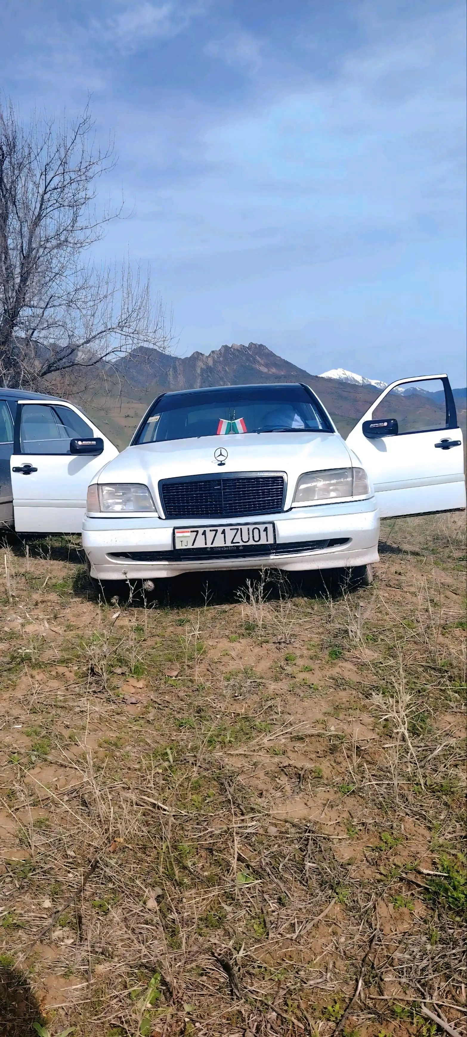 Mercedes-benz C class 1994