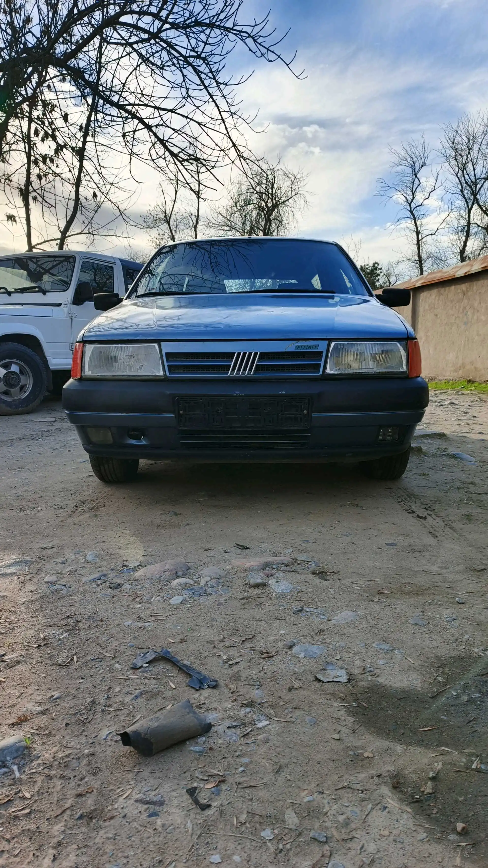 Fiat Punto 1991