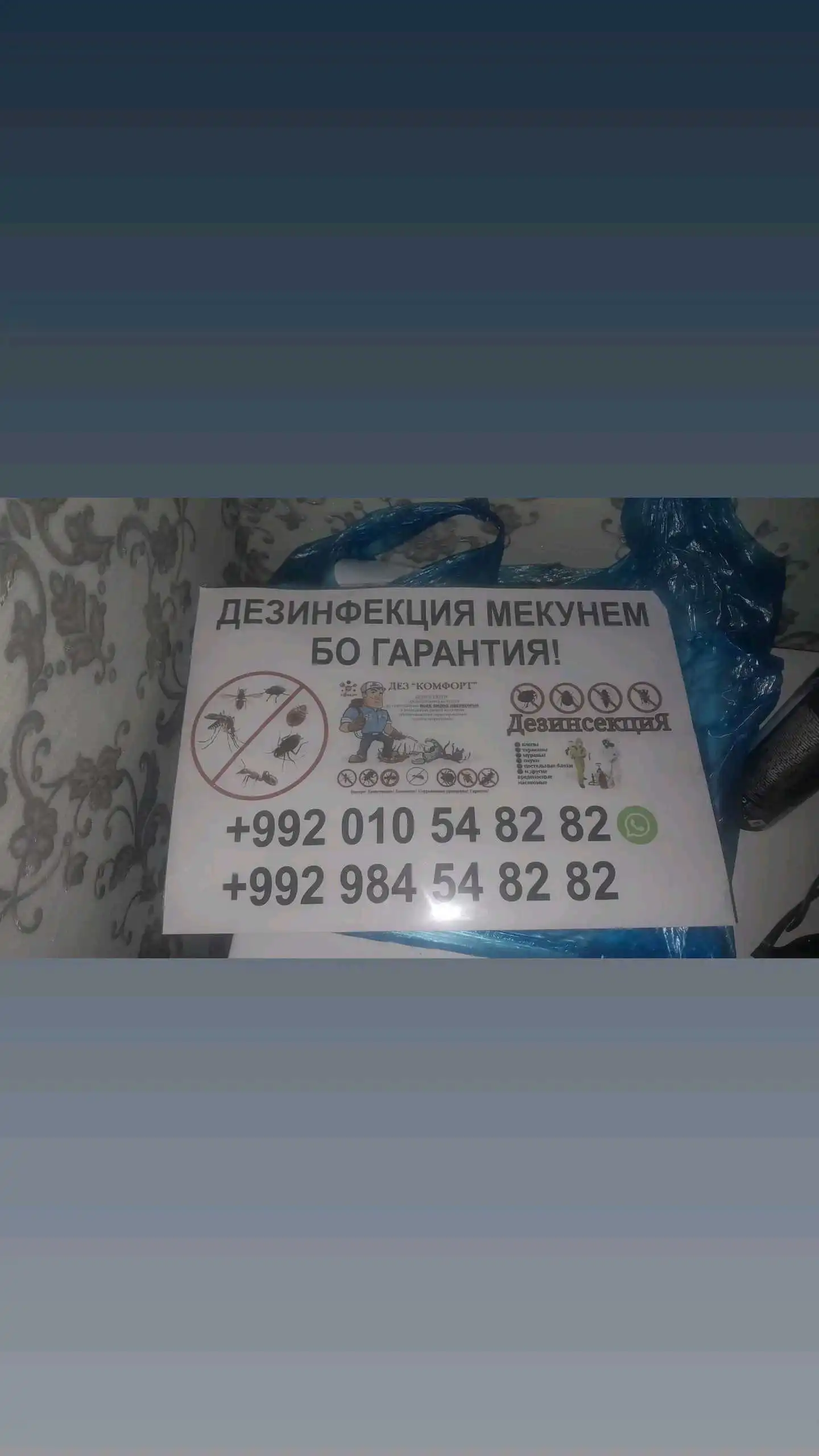 дезинфексия