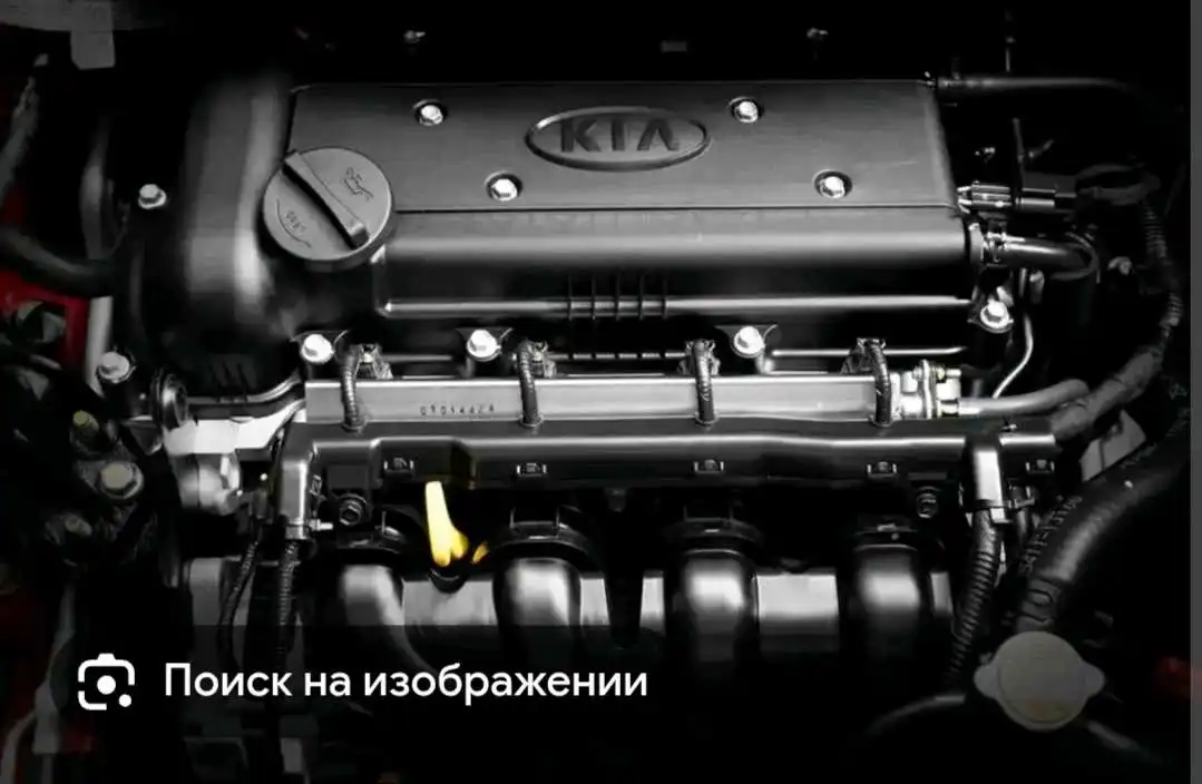 Мостов для вегеторов на машине