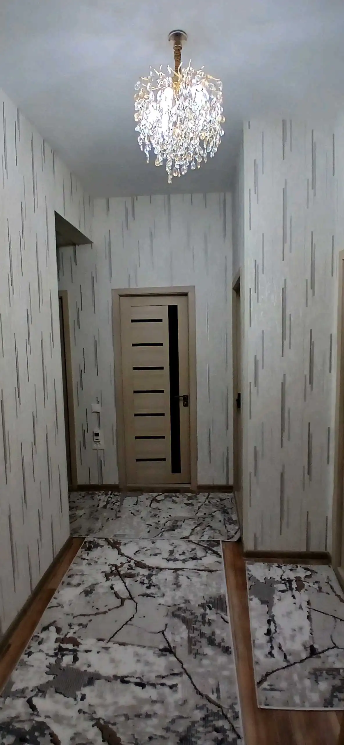 баха — фото 12