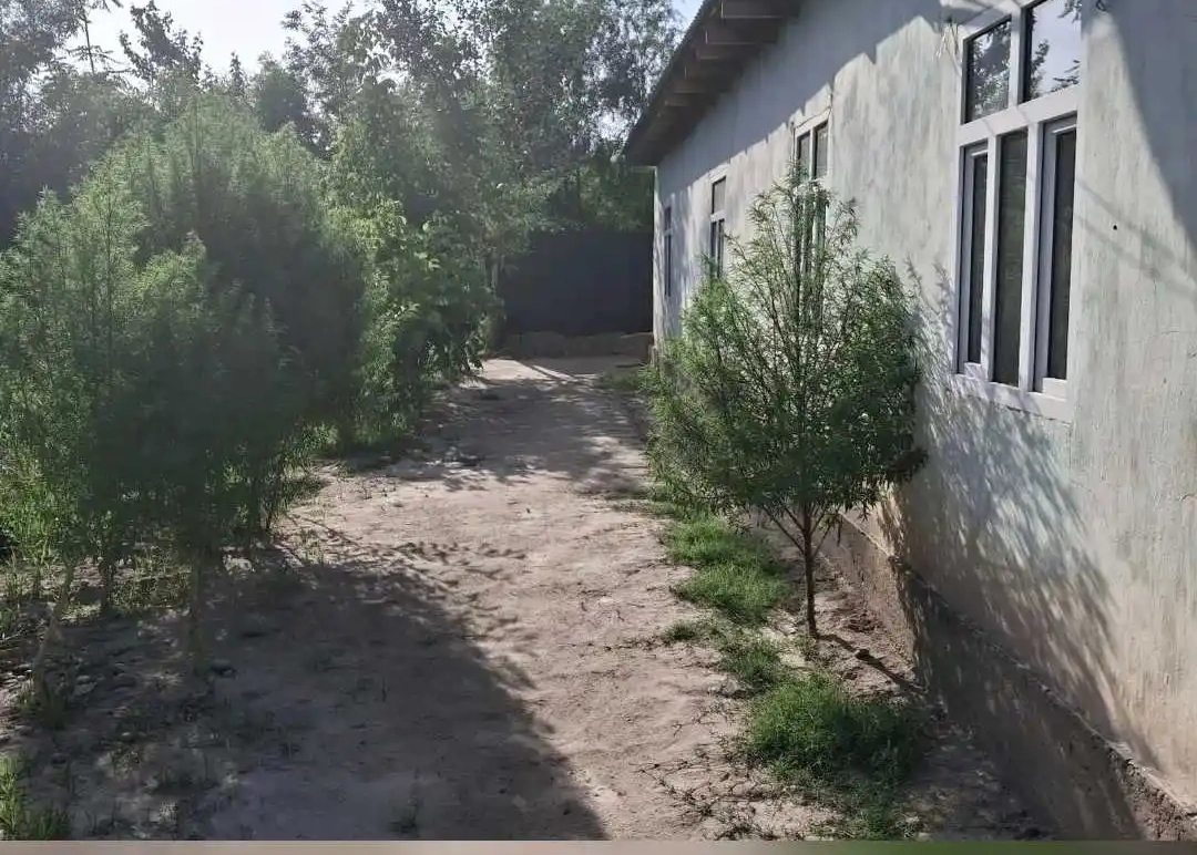 1 этажный, 6-комн. дом, 400 м², 9 соток, Кушониён