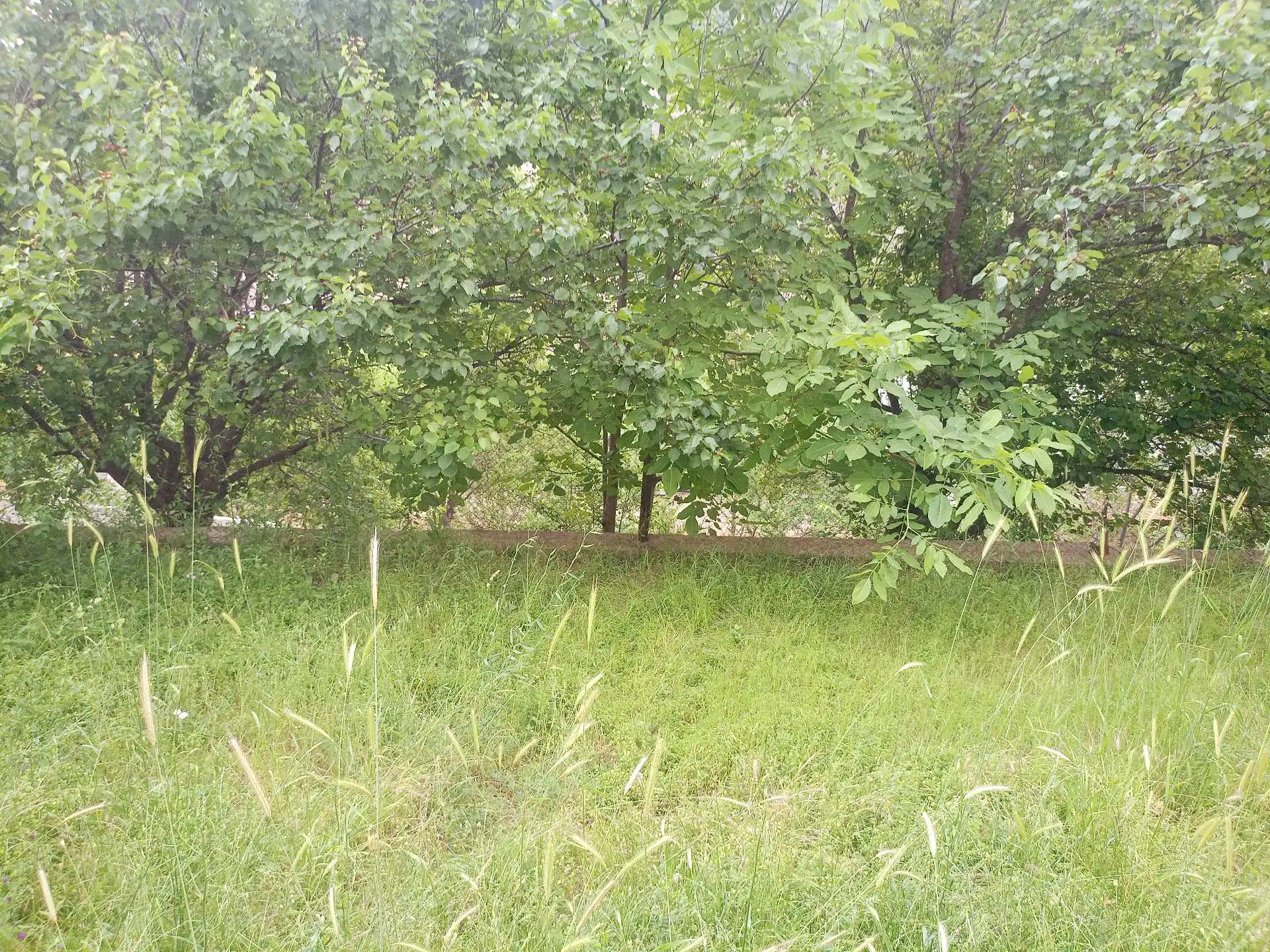 этажный, -комн. дом, 240 м², 6 соток, Варзоб 35 км гули майда