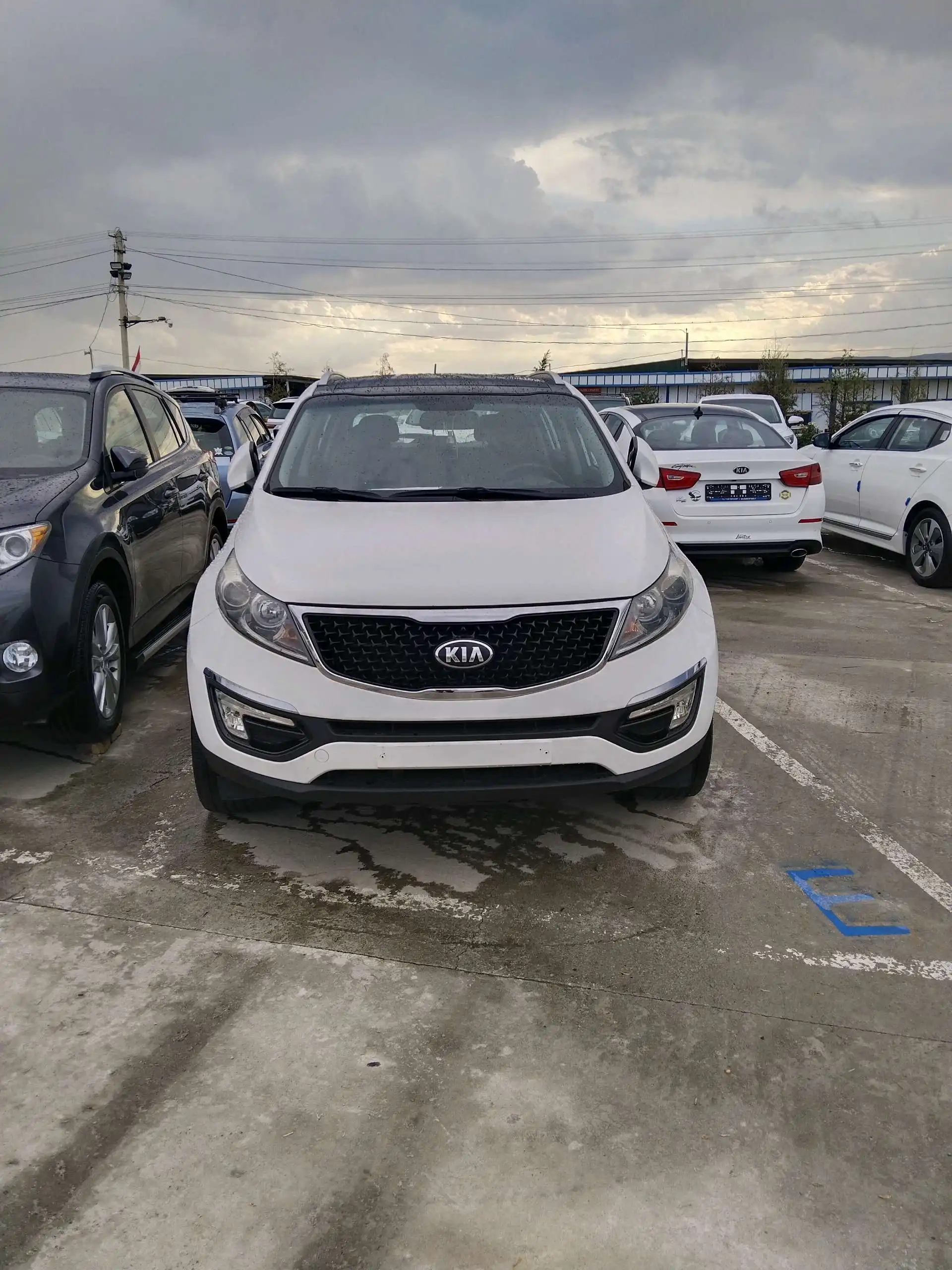 Kia Sportage 2014 — фото 2