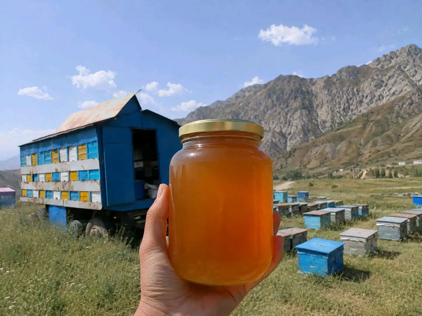 асал