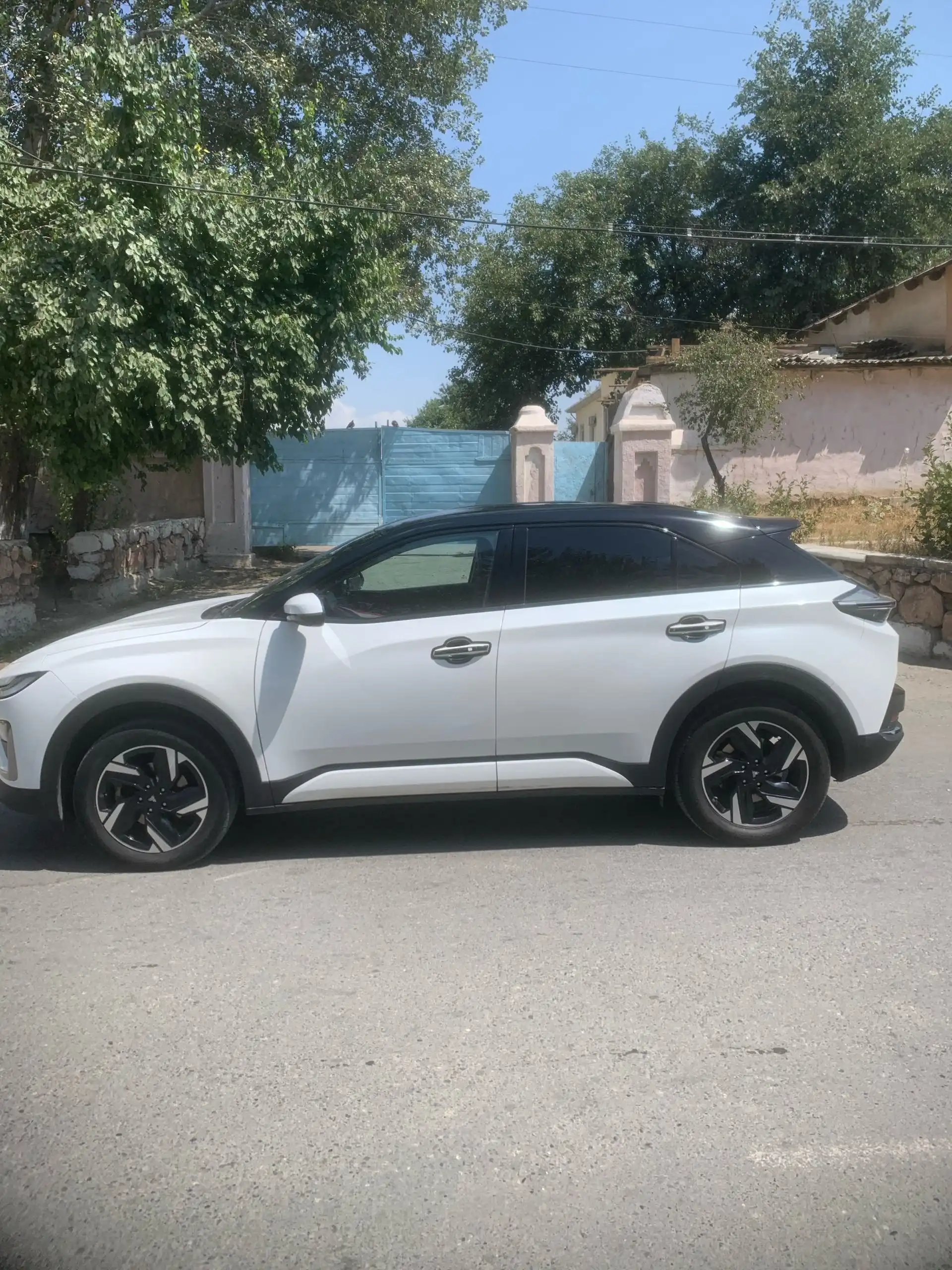 Neta S 2024