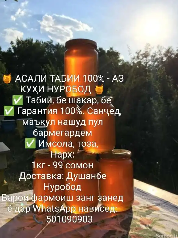Асали табии 100% - аз КУҲИ НУРОБОД 