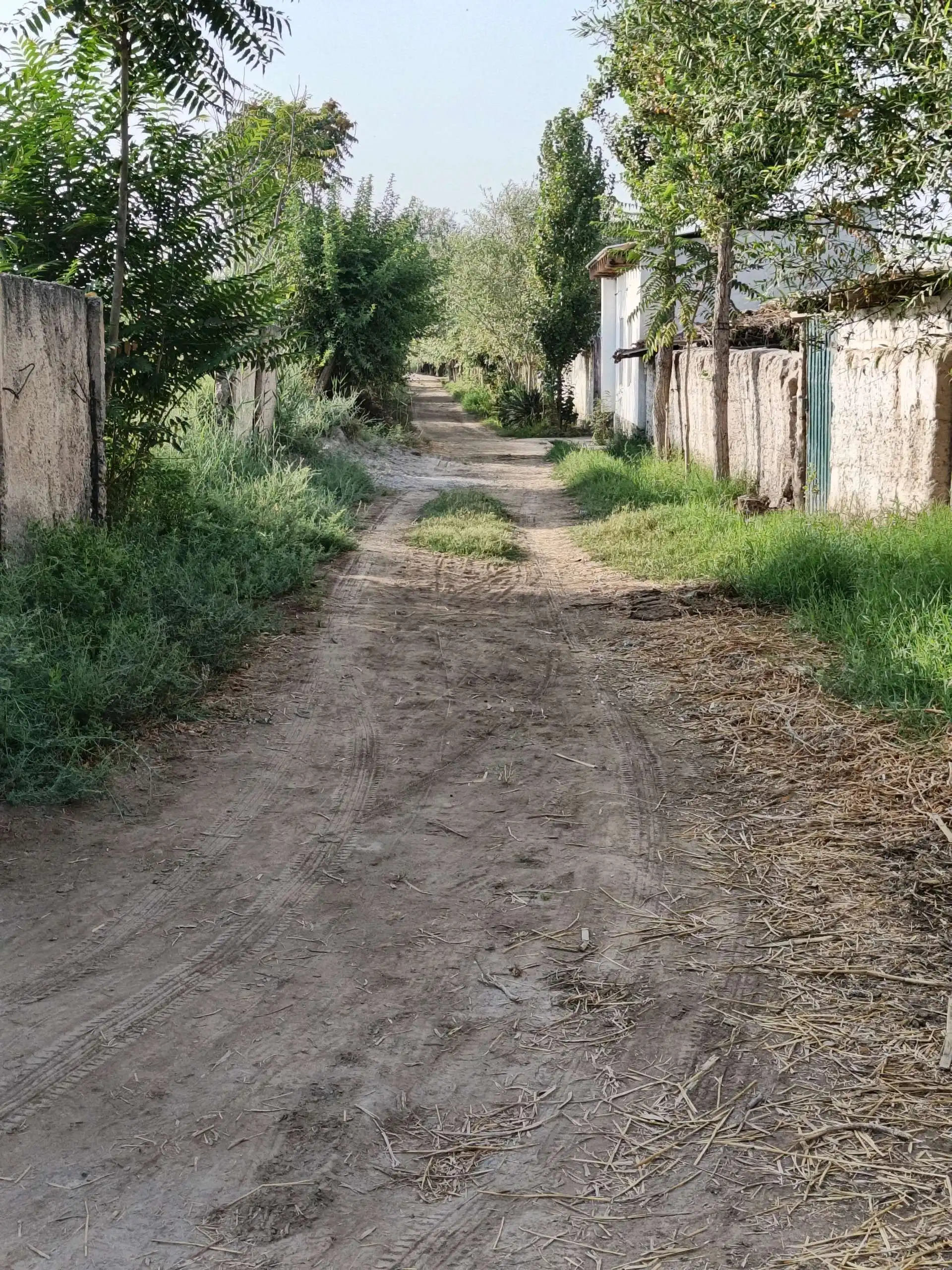 Замини фуруши