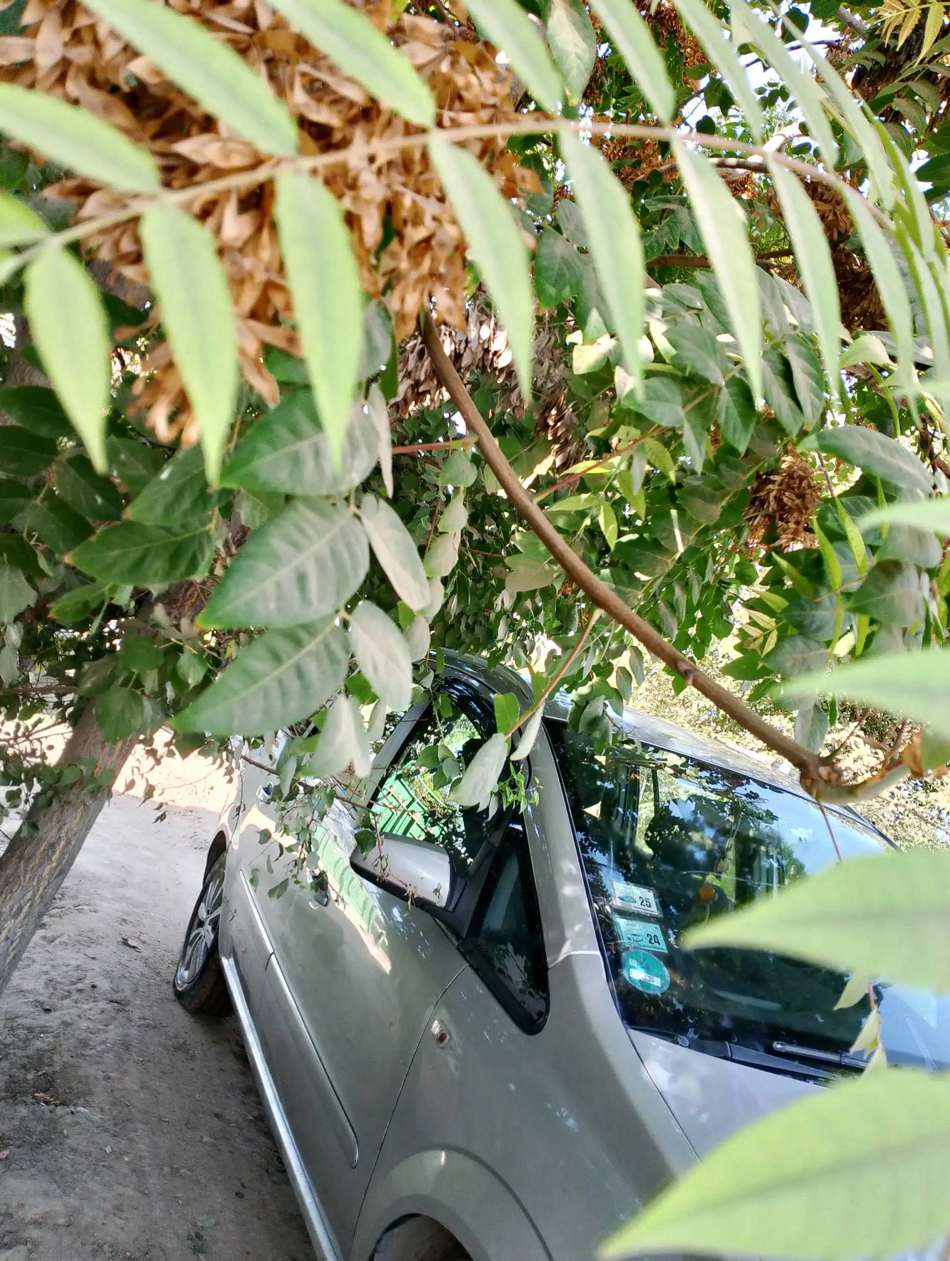Opel Zafira 2007
