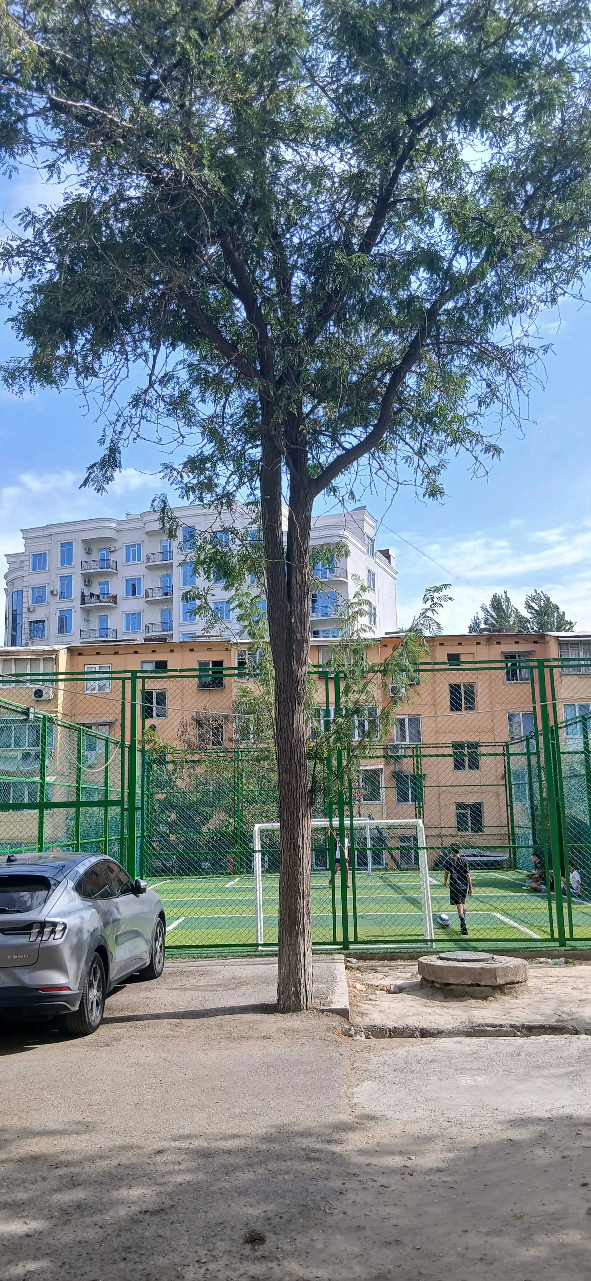 1-к квартира, 7 этаж, 54 м², 33