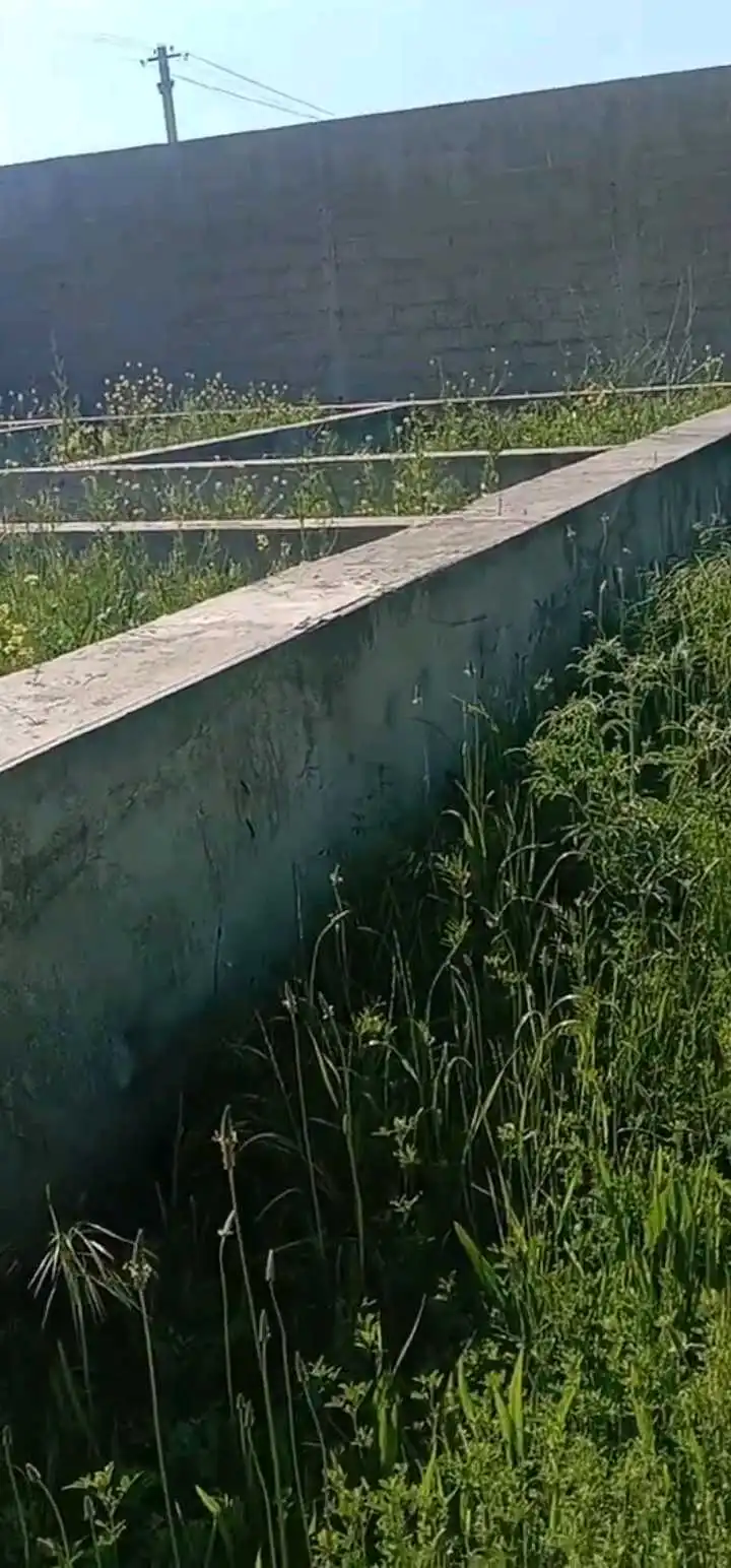 хонай фуруши