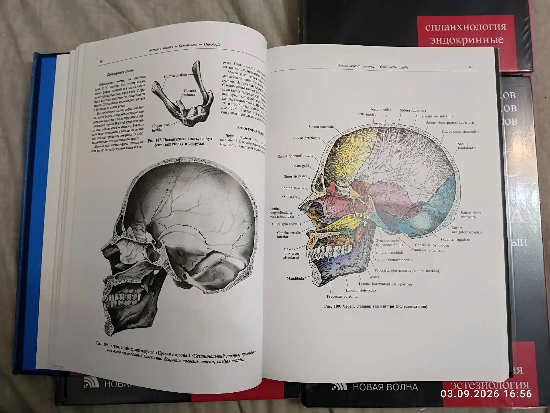 Книги по анатомии "Синельников"- 4 тома