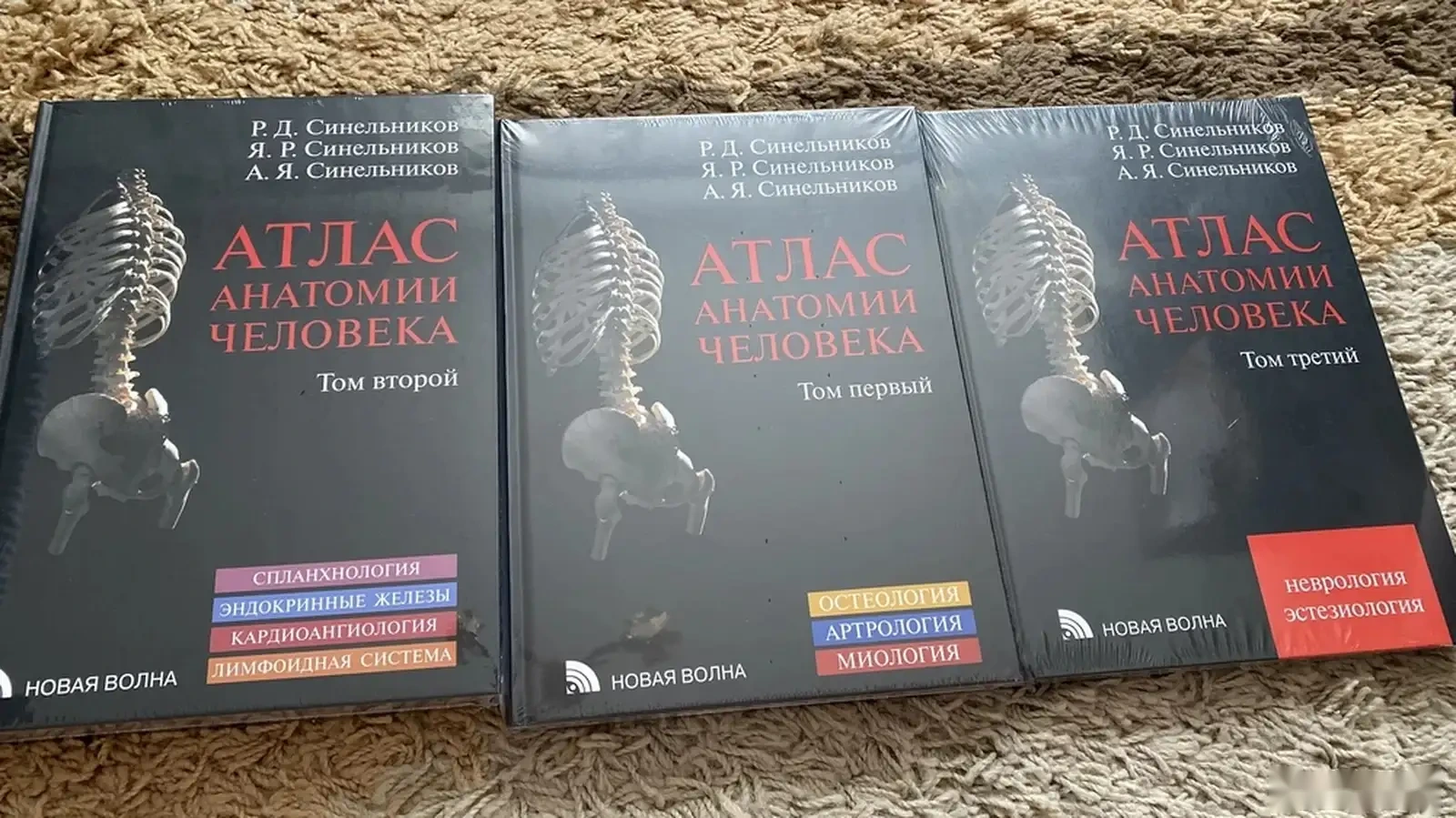 Книга Анатомия Человека Синельников — фото 4